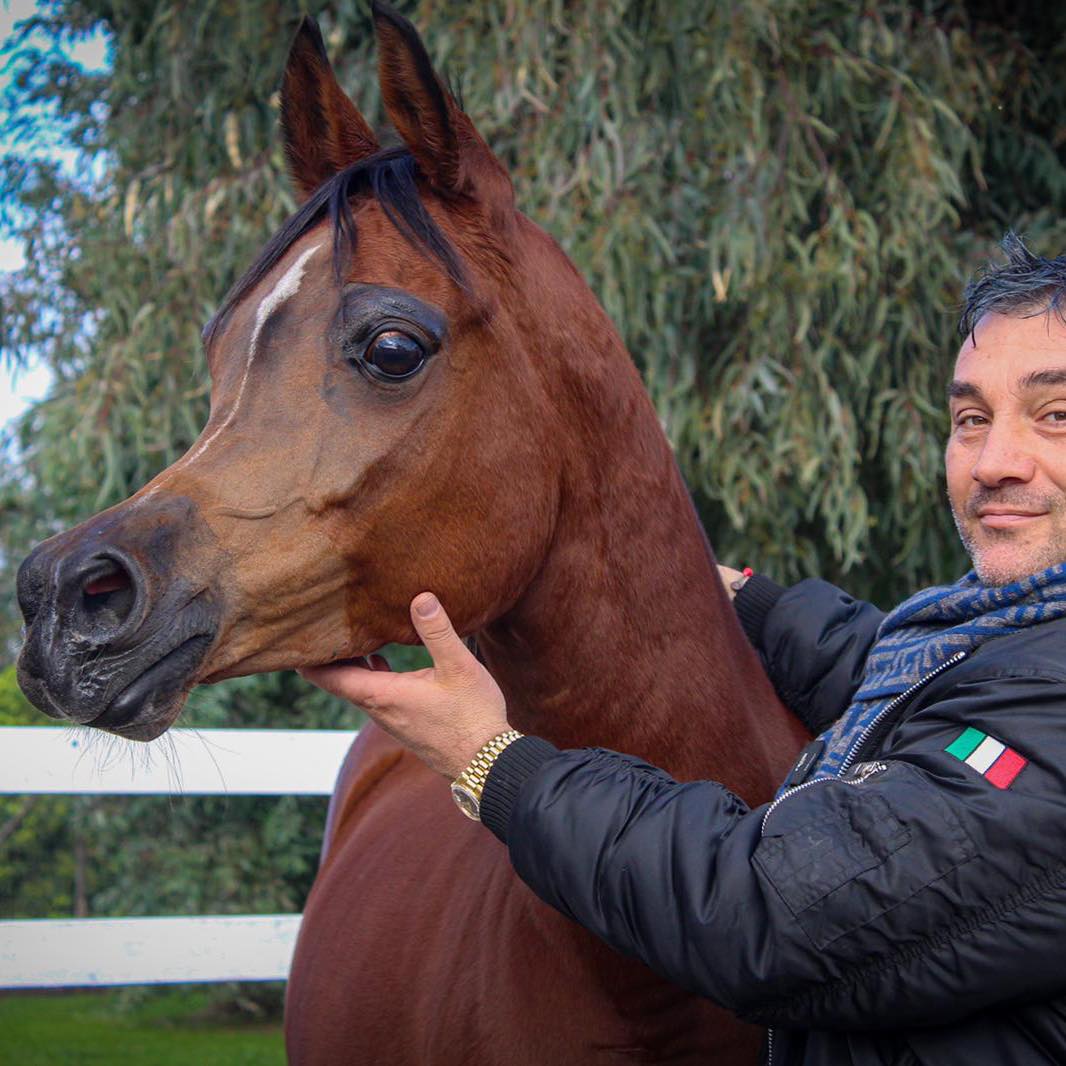 FONTANELLA MAGIC ARABIANS Soc Agr A.R.L.