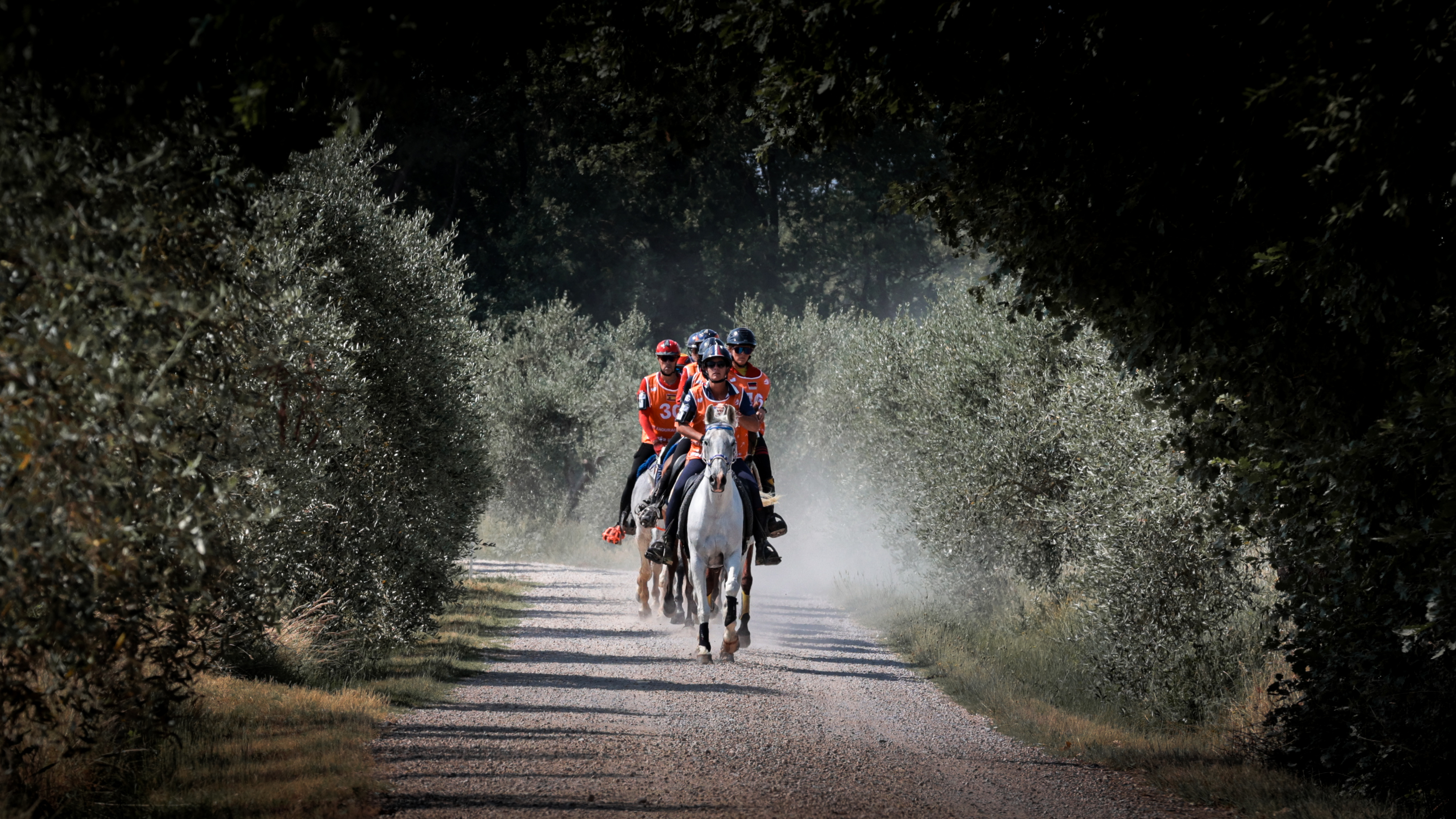 Gara Endurance Nazionale