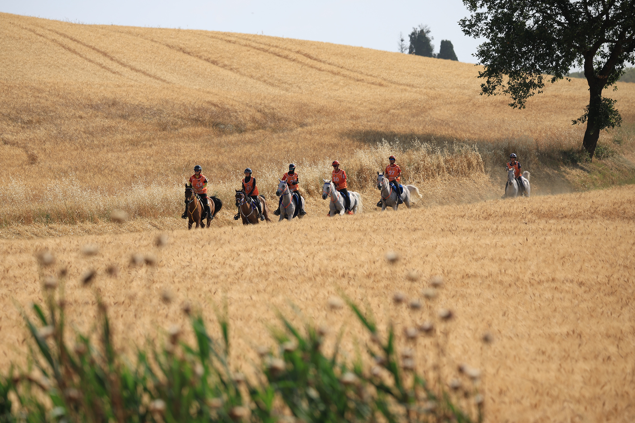 Benvenuti nel nuovo sistema News