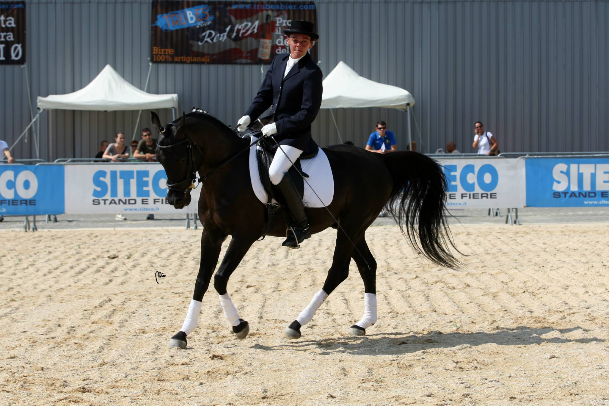 Dressage